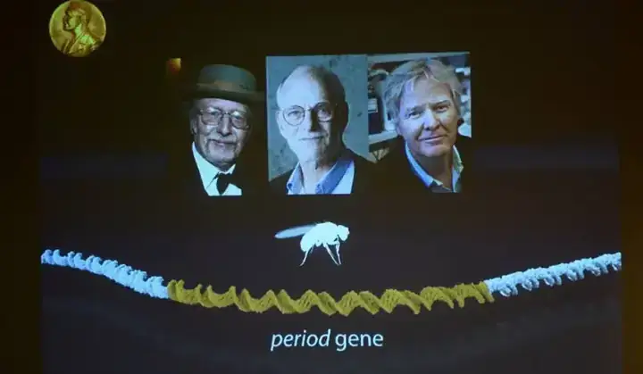 Giải Mã Giấc Mơ Người Khuyết Tật: Khát Vọng, Nghị Lực Và Sức Mạnh Nội Tâm Phi Thường