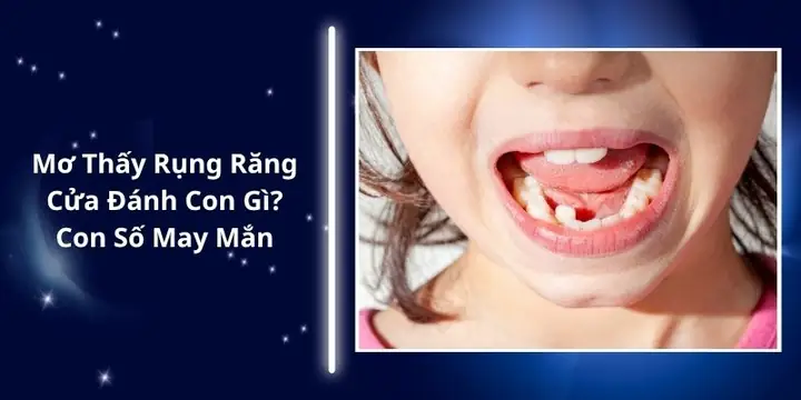 Giải Mã Giấc Mơ Rụng Răng Cửa: Ý Nghĩa Tâm Linh, Điềm Báo Và Con Số May Mắn