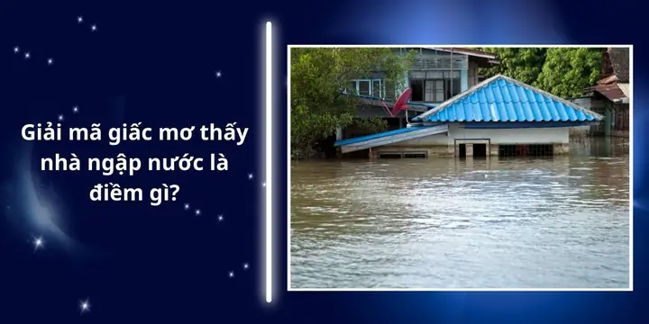 Giải Mã Giấc Mơ Rụng Răng Cửa: Ý Nghĩa Tâm Linh, Điềm Báo Và Con Số May Mắn