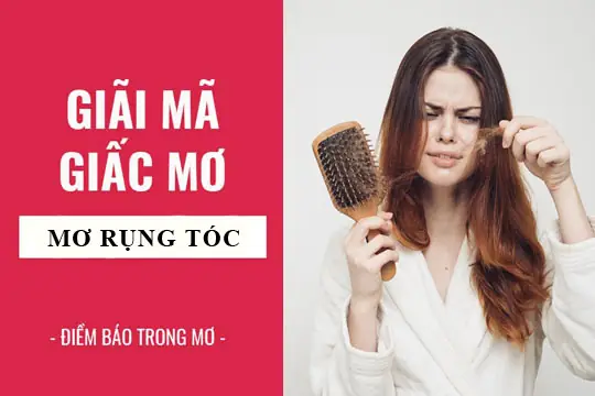 Giải Mã Giấc Mơ Rụng Tóc: Điềm Báo Gì Và Những Con Số Ẩn Sau