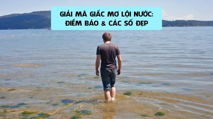 Giải Mã Giấc Mơ Thấy Lội Nước: Thông Điệp Từ Tiềm Thức Và Những Con Số May Mắn