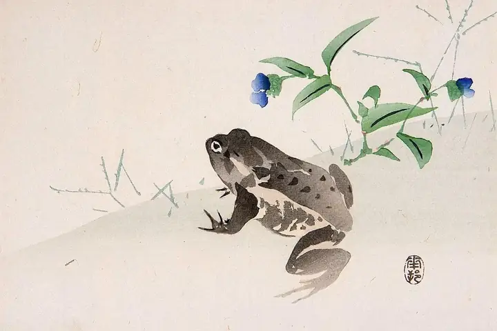 Giải Mã Giấc Mơ Thấy Bắt Ếch: Điềm Lành Hay Dữ? Ý Nghĩa Tâm Linh & Số Mắn