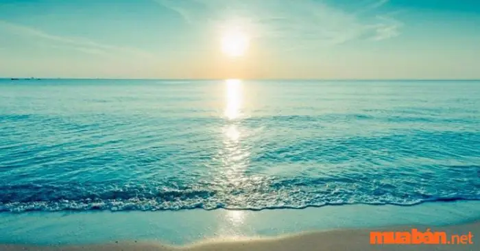 Giải Mã Giấc Mơ Thấy Biển: Điềm Lành Hay Dữ Và Ý Nghĩa Sâu Xa