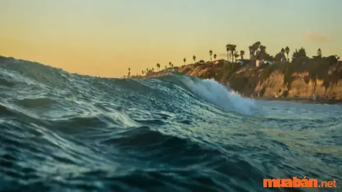 Giải Mã Giấc Mơ Thấy Biển Lớn: Điềm Báo Gì & Nên Đánh Con Nào?