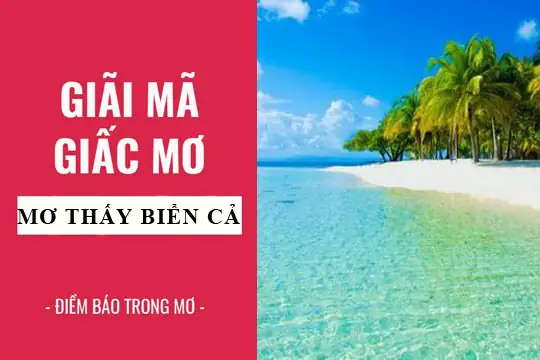 Giải Mã Giấc Mơ Thấy Biển: Điềm Báo Lành Dữ Và Những Con Số May Mắn