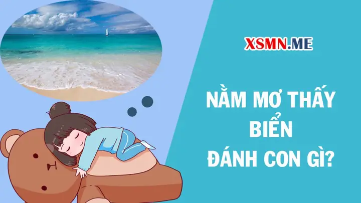 Giải Mã Giấc Mơ Thấy Biển Và Cá: Chi Tiết Từ Tâm Lý Học Đến Phong Thủy