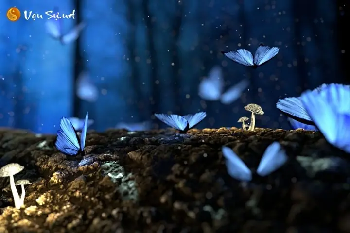 Giải Mã Giấc Mơ Thấy Bướm Của Mình: Những Điềm Báo Và Ý Nghĩa Tâm Linh