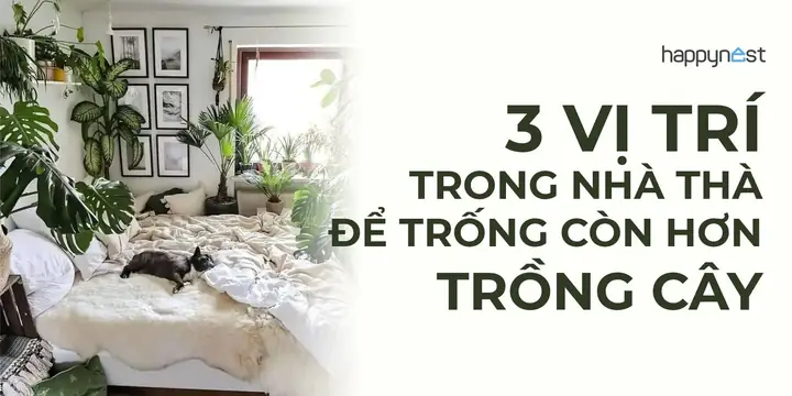 Giải Mã Giấc Mơ Thấy Cá: Điềm Báo Gì Và Những Con Số May Mắn Liên Quan