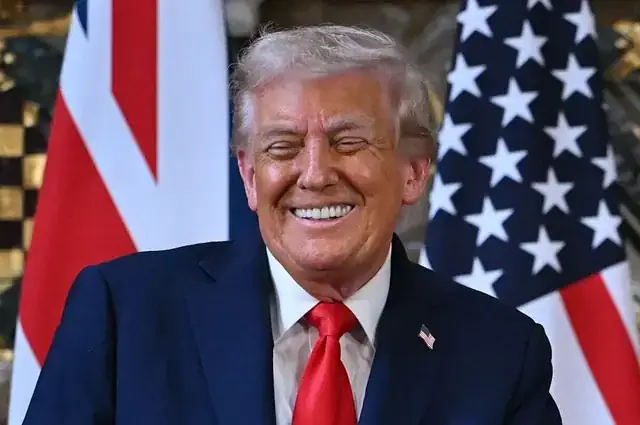 Giải Mã Giấc Mơ Thấy Cá Trích: Chi Tiết Từ A-z Cho Người Mơ