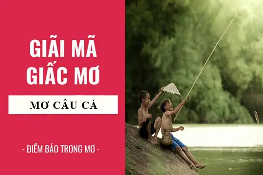 Giải Mã Giấc Mơ Thấy Câu Cá: Điềm Báo Gì Và Những Con Số May Mắn