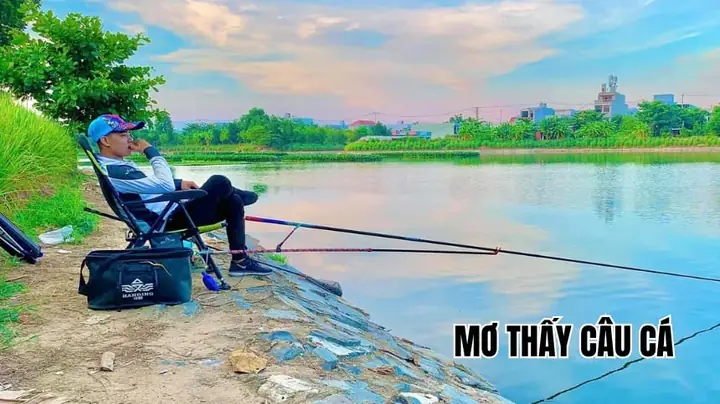 Giải Mã Giấc Mơ Thấy Câu Cá: Những Điềm Báo Và Ý Nghĩa Đằng Sau