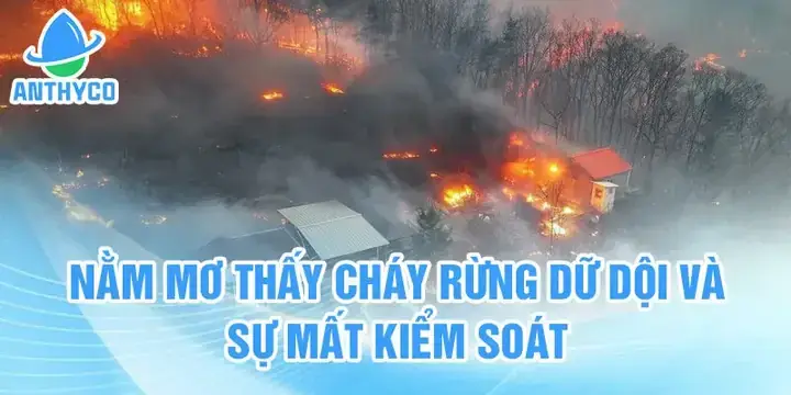 Giải Mã Giấc Mơ Thấy Cháy Rừng: Điềm Báo Gì & Con Số May Mắn