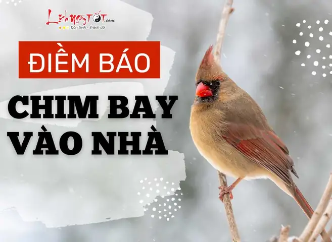 Giải Mã Giấc Mơ Thấy Chim Bay Vào Nhà: Điềm Lành Hay Dữ? Ý Nghĩa Chi Tiết