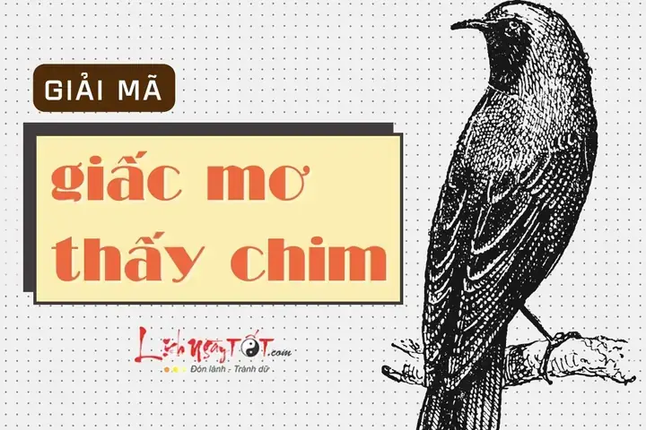 Giải Mã Giấc Mơ Thấy Chim Công Trắng: Điềm Báo May Mắn Hay Cảnh Báo?