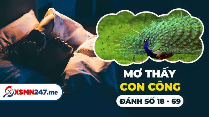 Giải Mã Giấc Mơ Thấy Chim Công Trắng: Điềm Báo May Mắn Hay Cảnh Báo?