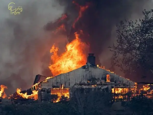 Giải Mã Giấc Mơ Thấy Chùa Bị Cháy: Ý Nghĩa Tâm Linh & Gợi Ý Con Số