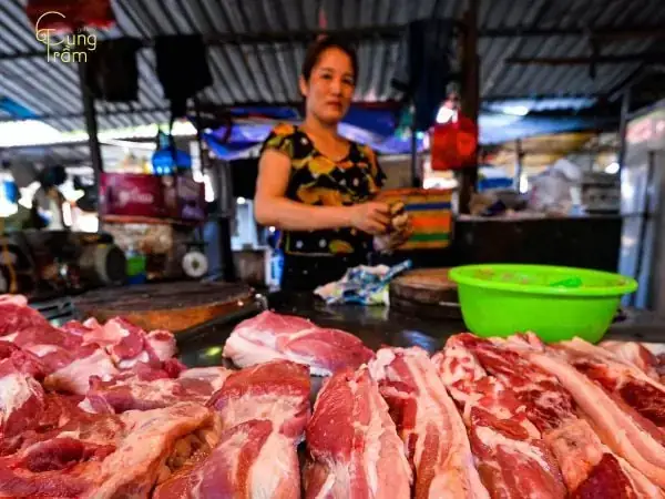 Giải Mã Giấc Mơ Thấy Chuồng Lợn: Chiêm Tinh Hay Cảnh Báo Từ Tiềm Thức?