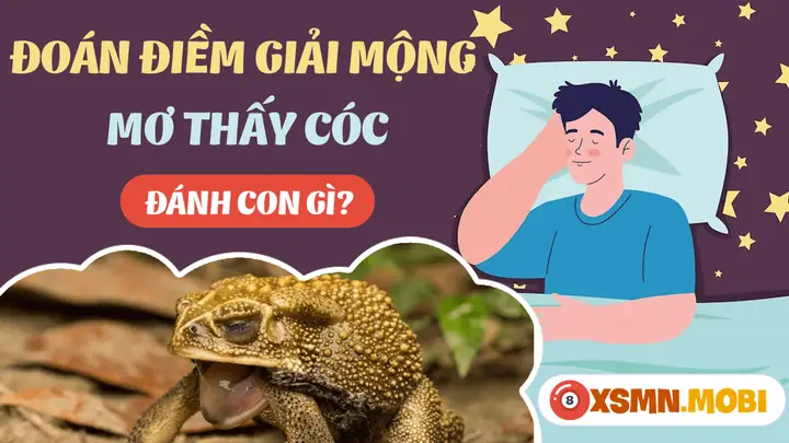 Giải Mã Giấc Mơ Thấy Con Cóc: Điềm Báo Gì Và Con Số May Mắn Ẩn Sau