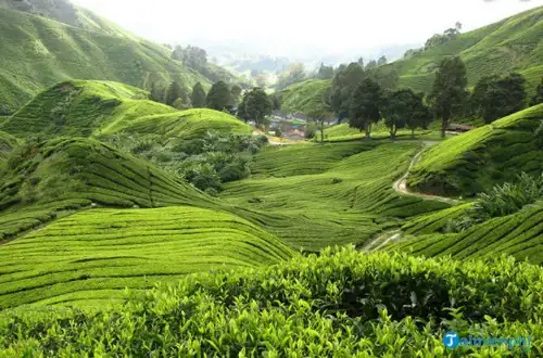 Giải Mã Giấc Mơ Thấy Con Dốc: Điềm Báo Gì Và Những Con Số May Mắn