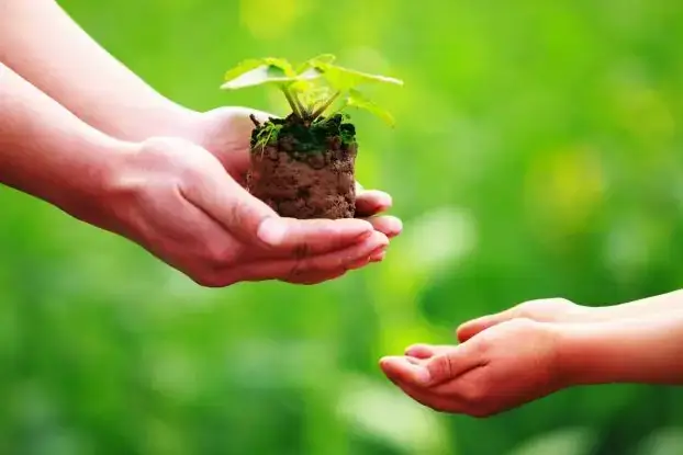 Giải Mã Giấc Mơ Thấy Cua Đồng: Đọc Vị Điềm Báo Và Hóa Giải An Nhiên