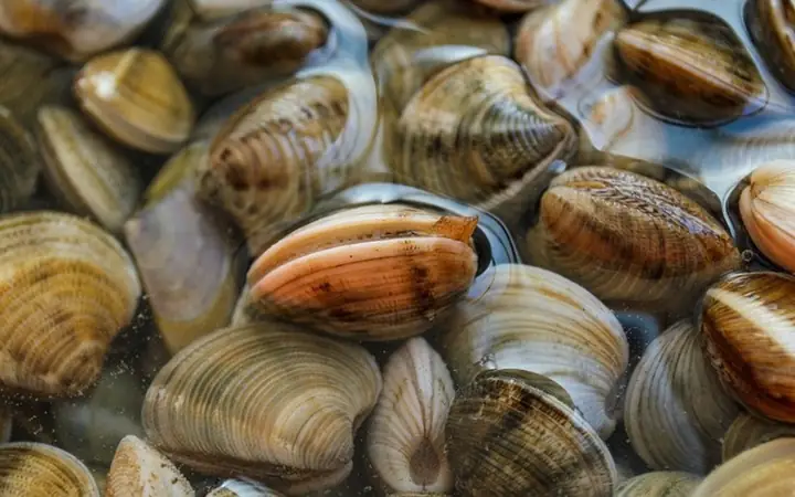 Giải Mã Giấc Mơ Thấy Cứt: Điềm Báo Gì Và Con Số May Mắn