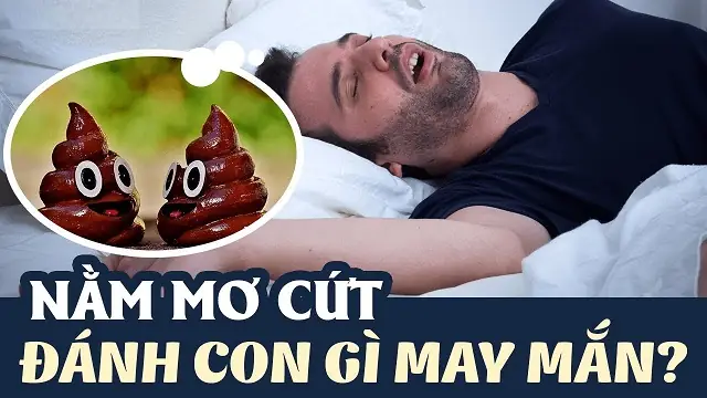 Giải Mã Giấc Mơ Thấy Cứt: Điềm Báo Tâm Linh, Ý Nghĩa Thực Tế & Con Số May Mắn