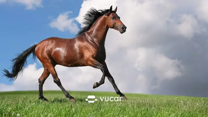 Giải Mã Giấc Mơ Thấy Đang Ở Trên Trời: Chi Tiết Ý Nghĩa Tâm Linh Và Khoa Học