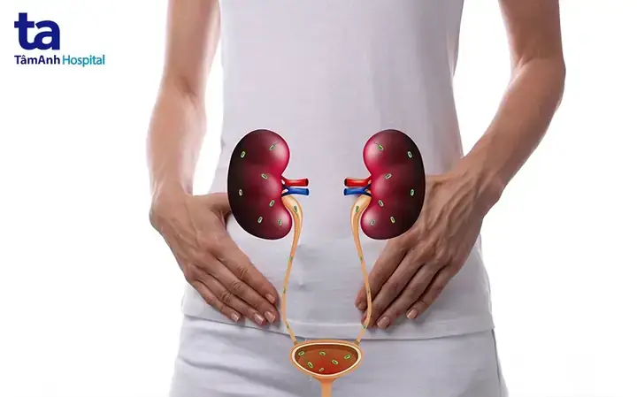 Giải Mã Giấc Mơ Thấy Đánh Nhau Chảy Máu: Tâm Lý Học, Dân Gian & Cách Ứng Phó