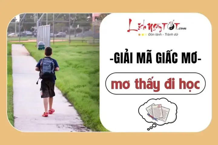 Giải Mã Giấc Mơ Thấy Đi Học Về: Ý Nghĩa Tâm Linh & Điềm Báo Trong Đời Sống