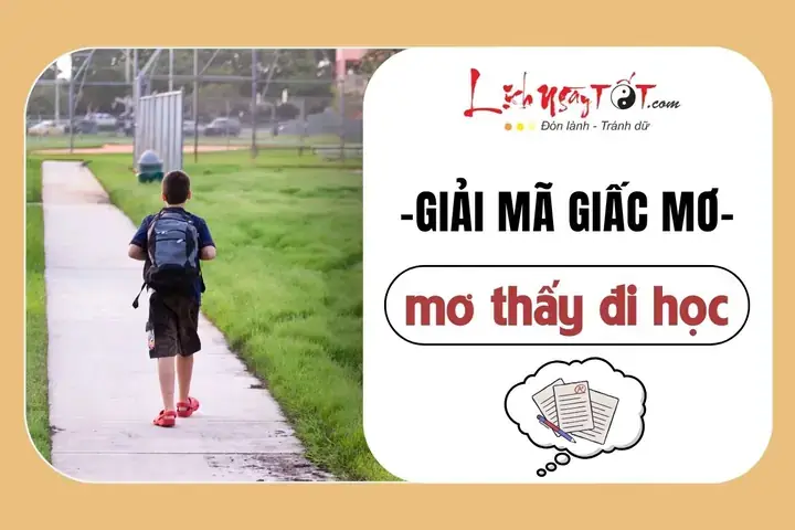 Giải Mã Giấc Mơ Thấy Đi Học Về: Ý Nghĩa Tâm Linh & Điềm Báo Trong Đời Sống