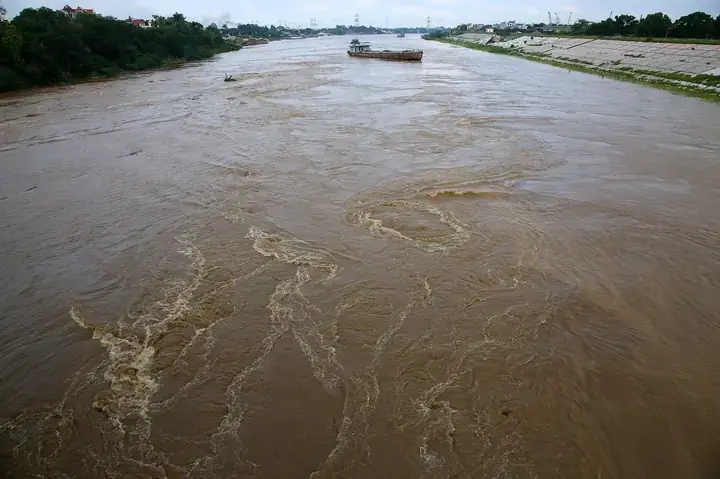 Giải Mã Giấc Mơ Thấy Đi Trong Dòng Sông: Những Thông Điệp Ẩn Sâu Từ Tiềm Thức