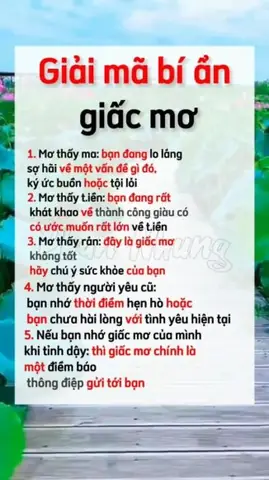 Giải Mã Giấc Mơ Thấy Điểm Thi: Thông Điệp Ẩn Giấu Đằng Sau Những Con Số