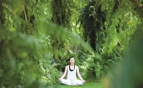 Giải Mã Giấc Mơ Thấy Dòi Trong Người: Điềm Báo Hay Lời Nhắc Nhở?