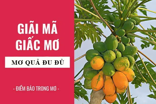 Giải Mã Giấc Mơ Thấy Đu Đủ: Điềm Báo Gì Và Những Con Số May Mắn Tiềm Ẩn