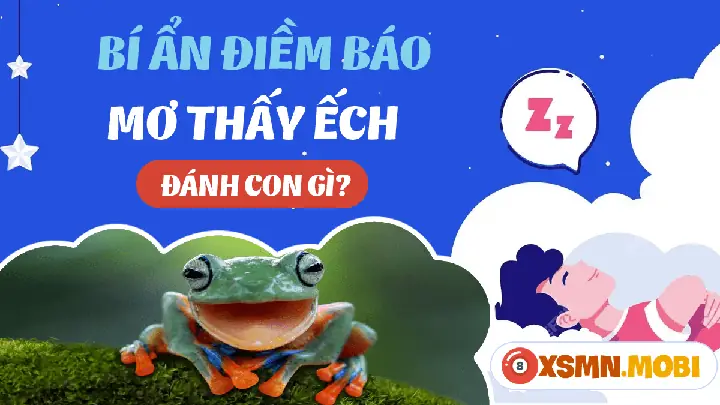 Giải Mã Giấc Mơ Thấy Ếch Trong Mưa: Chi Tiết Ý Nghĩa Đằng Sau