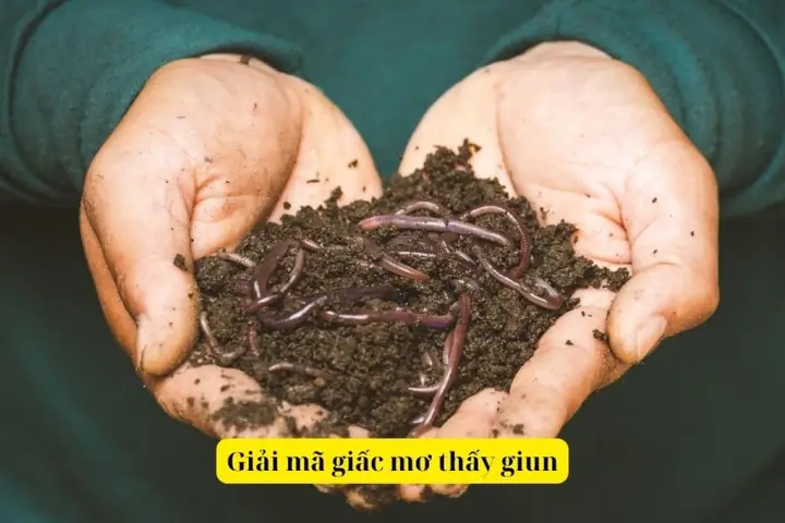 Giải Mã Giấc Mơ Thấy Giun: Điềm Báo Lành Dữ Và Con Số May Mắn