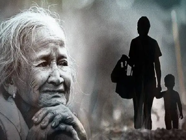 Giải Mã Giấc Mơ Thấy Hải Cẩu: Điềm Báo Gì Và Những Con Số May Mắn