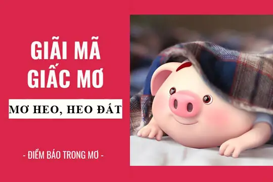 Giải Mã Giấc Mơ Thấy Heo Đất: Điềm Lành Hay Dữ Và Con Số May Mắn Ẩn Sau