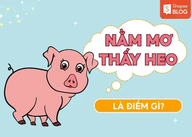 Giải Mã Giấc Mơ Thấy Heo Trắng: Điềm Báo Gì Và Con Số May Mắn Liên Quan