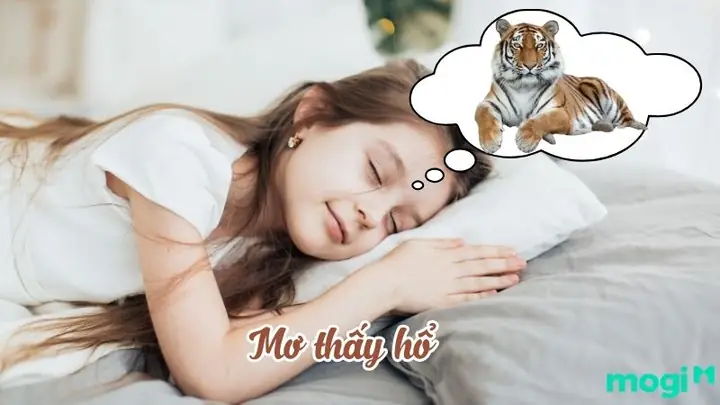 Giải Mã Giấc Mơ Thấy Hổ Đuổi: Những Điềm Báo Và Ý Nghĩa Bạn Cần Biết