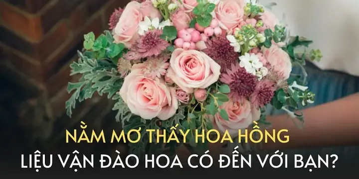 Giải Mã Giấc Mơ Thấy Hoa Hồng Nở: Ý Nghĩa Và Điềm Báo Tâm Linh