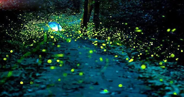 Giải Mã Giấc Mơ Thấy Khạc Ra Đờm: Những Điềm Báo Bí Ẩn Từ Tiềm Thức