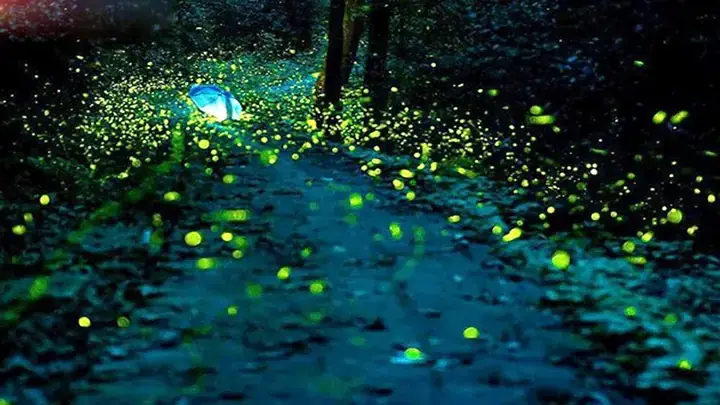 Giải Mã Giấc Mơ Thấy Khạc Ra Đờm: Những Điềm Báo Bí Ẩn Từ Tiềm Thức