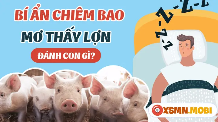 Giải Mã Giấc Mơ Thấy Lợn Con: Điềm Báo Gì & Đánh Con Số Nào May Mắn?