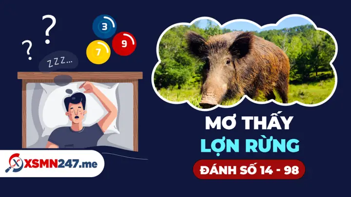 Giải Mã Giấc Mơ Thấy Lợn Rừng: Chi Tiết Ý Nghĩa Từ A Đến Z