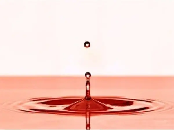 Giải Mã Giấc Mơ Thấy Máu Và Người Chết: Thông Điệp Ẩn Sâu Trong Tiềm Thức