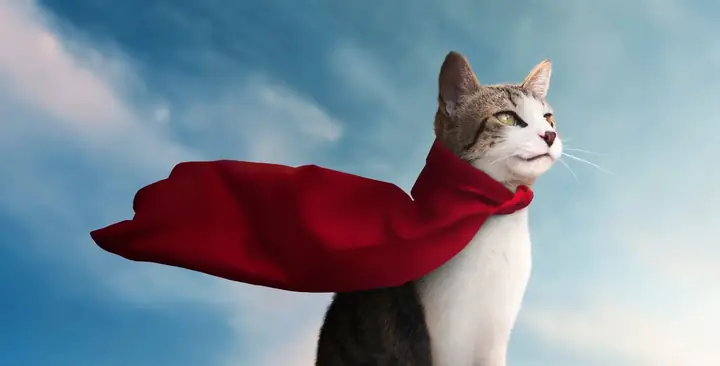 Giải Mã Giấc Mèo Vào Nhà: Điềm Báo Gì Và Con Số May Mắn Nào Đang Chờ Đón?