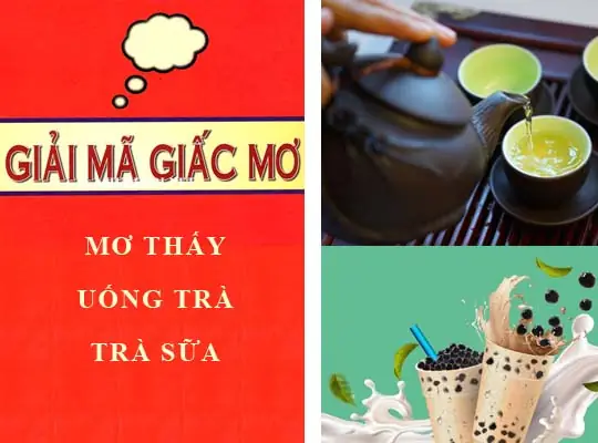 Giải Mã Giấc Mơ Thấy Mèo Đen: Điềm Báo Gì Và Những Con Số Ẩn Sau