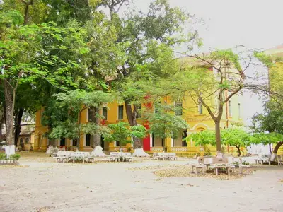 Giải Mã Giấc Mơ Thấy Mình Đi Học: Thông Điệp Tiềm Thức Và Điềm Báo Tương Lai