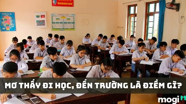 Giải Mã Giấc Mơ Thấy Mình Đi Học: Thông Điệp Tiềm Thức Và Điềm Báo Tương Lai